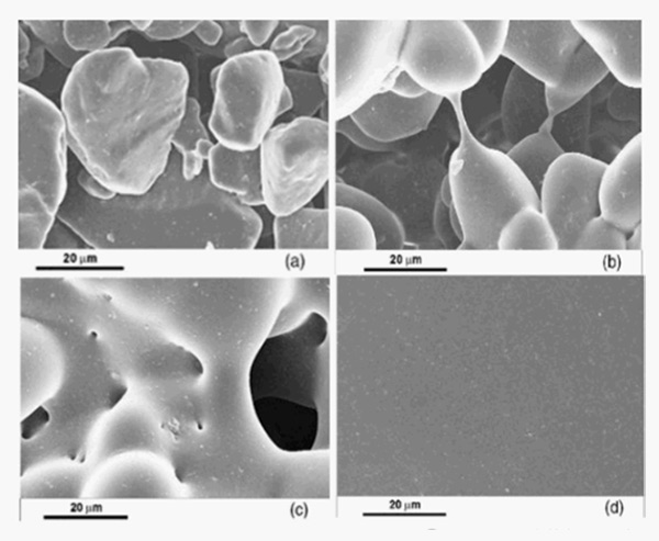 1769477791566400.jpg Two-Critical-Stages.jpg
